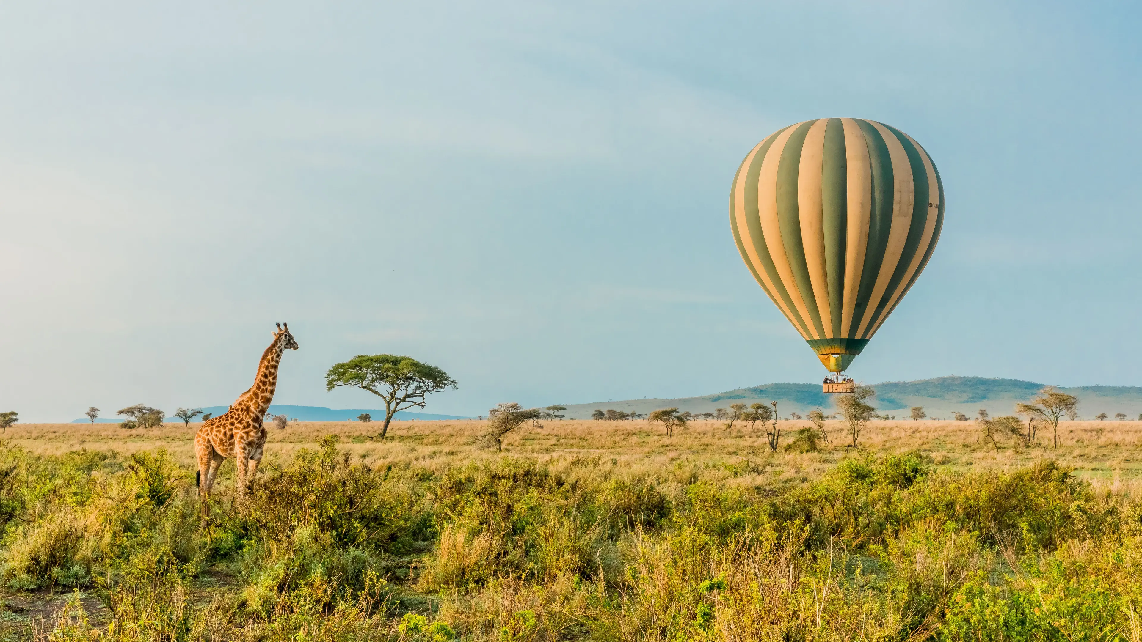 we fly africa